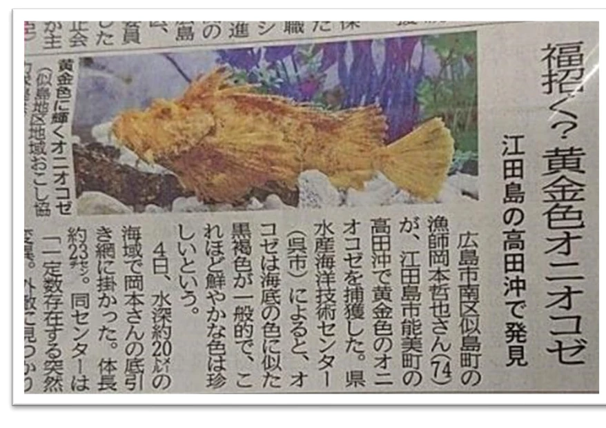 中国新聞 マリンアクアリウムの記事